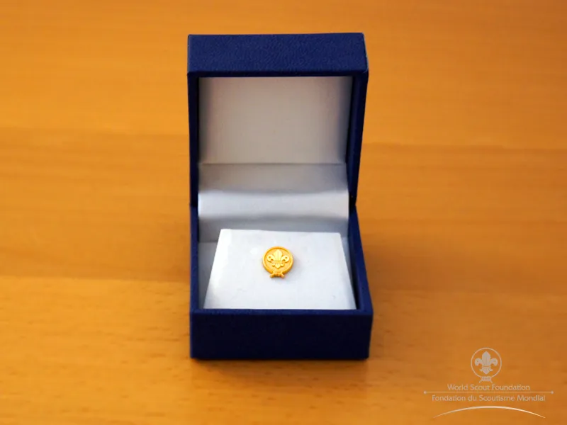 The BP Fellowship Pin The BP Fellowship Pin